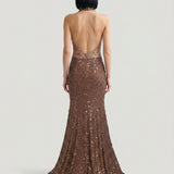 BROWN OPEN BACK LACE EMBROIDERED EVENING DRESS
